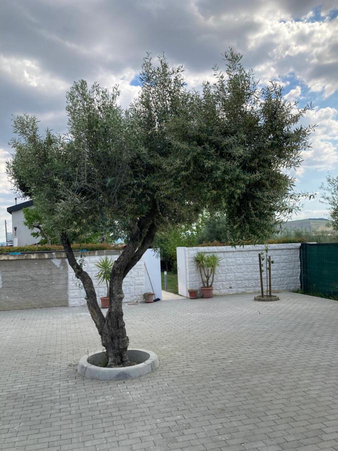 Villa Mater Matera Zewnętrze zdjęcie